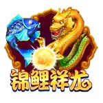 Www.yx8267.com